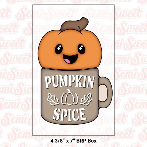 2 pc pumpkin spice mug set box size