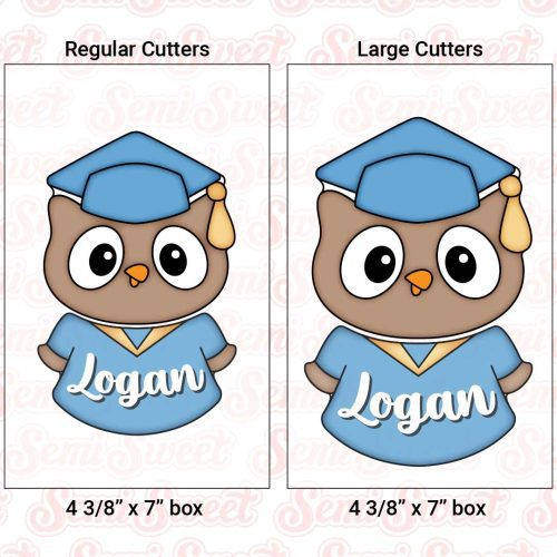 2pc owl set box