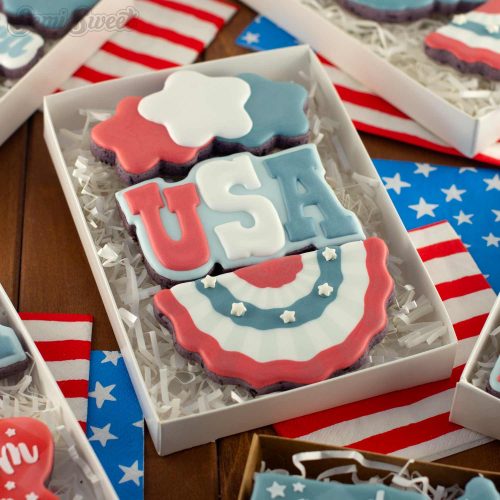 4th of july cookie box sets square