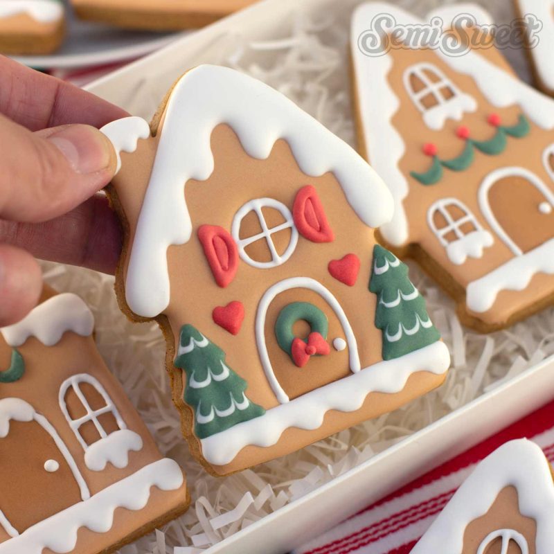 Gingerbread village cookies close1