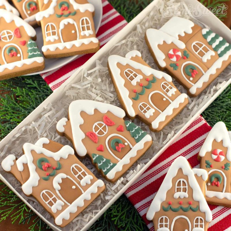 Gingerbread village cookies square