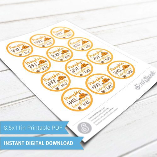 Pumpkin Spice Everything Nice Circle Sheet Scene