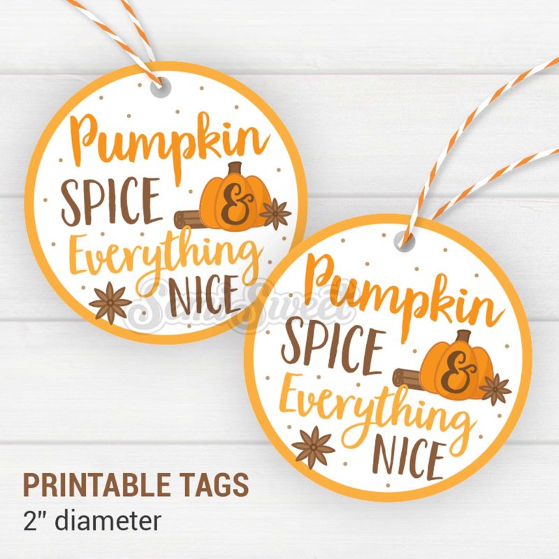 Pumpkin Spice Everything Nice Circle feature