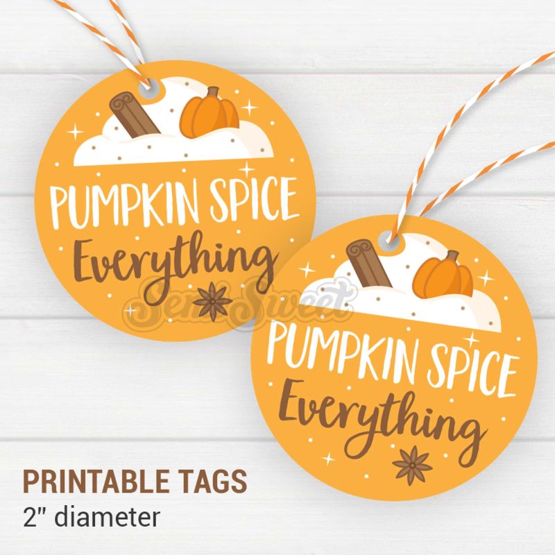 Pumpkin Spice Everything Circle feature