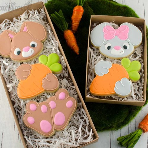 bunny body cookie set boxes