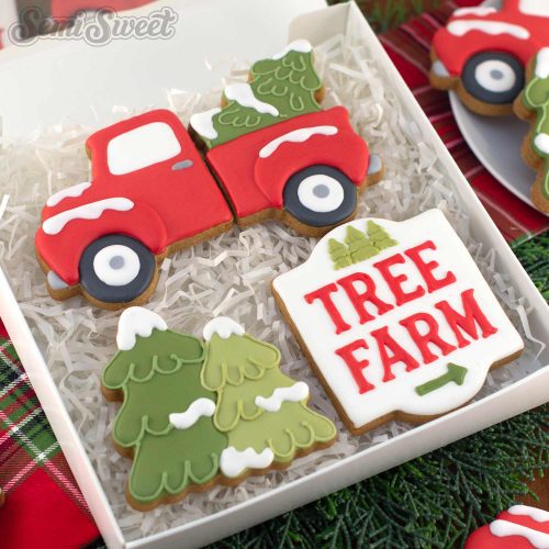 christmas tree farm box shop