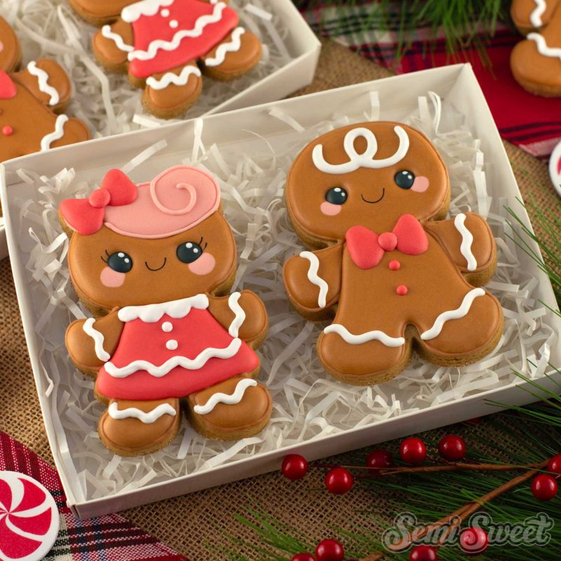 gingerbread boy girl cookies square