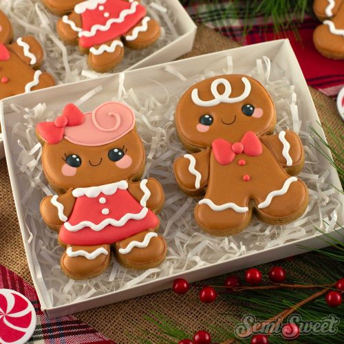 gingerbread boy girl cookies square 9c311b20 12d5 4da6 ba4c e19e1d5d2f8a