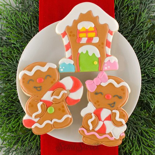 gingerbread house cookies square