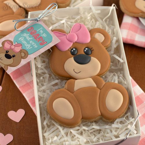 girl teddy bear set shop