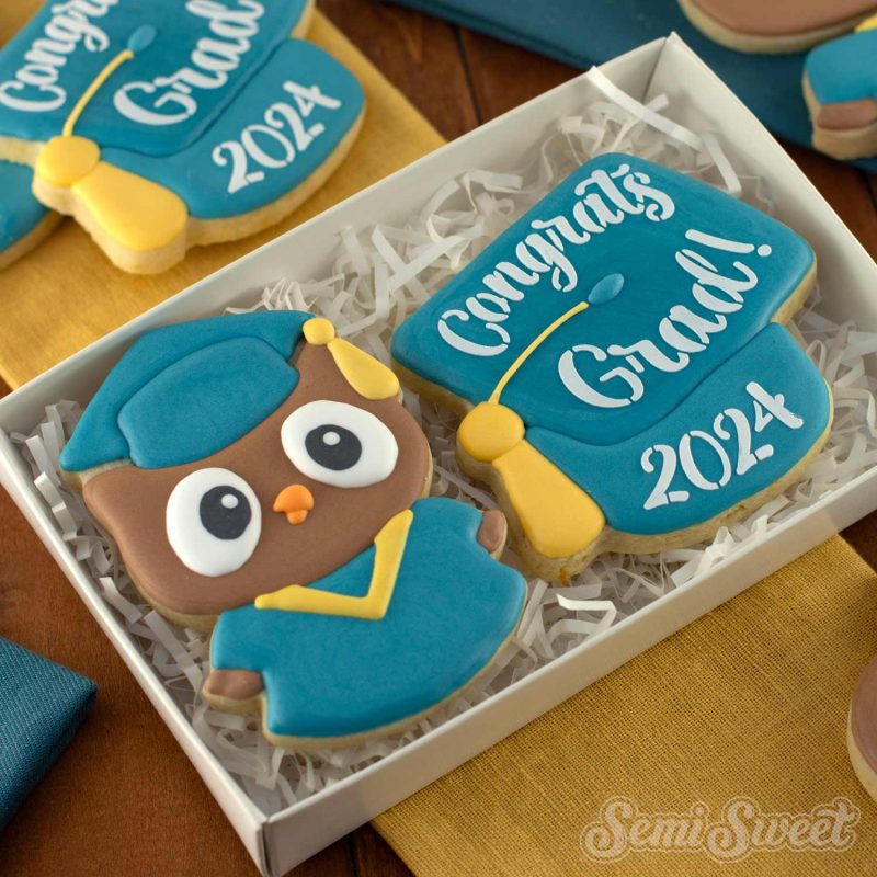 graduation owl cookie box set square 8a31417a 3eb2 4136 bf31 39c0e982b23b