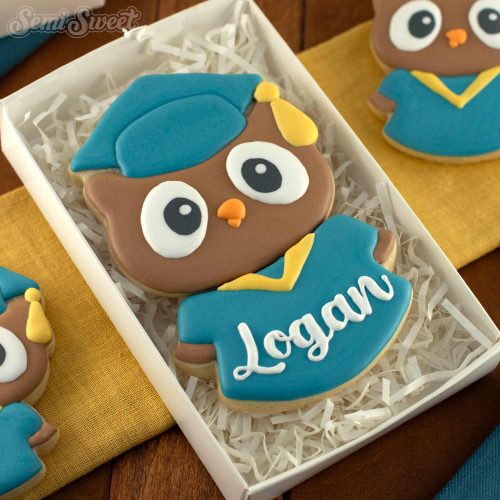 graduation owl cookie square