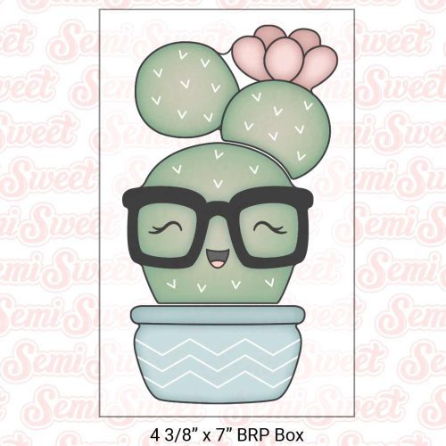 nerdy cactus set box