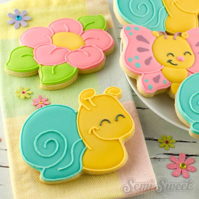 snail cookies square