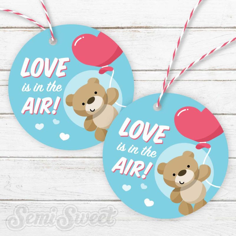 teddy bear love is in the air circle main