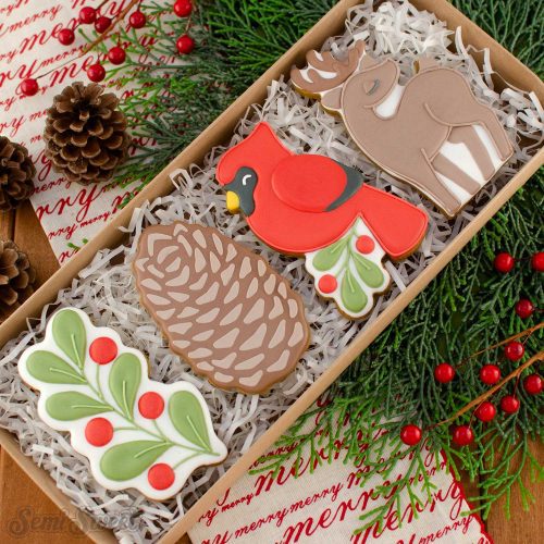 winter woodland cookie set box